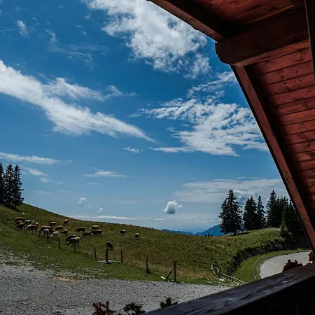Apartman Apartma Trije Ploti